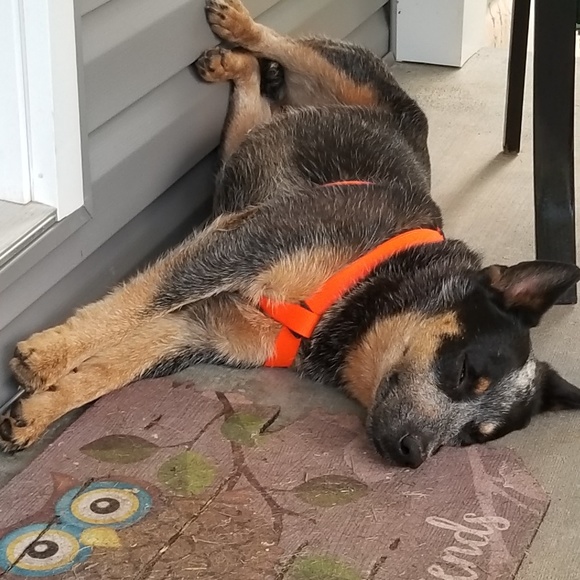 Meet your Posher, Jamie - Picture 6 of 6